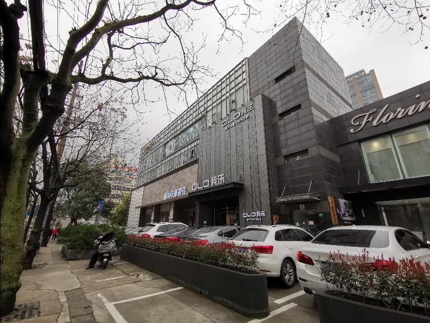 上海疫情最新概況及應(yīng)對(duì)措施，本地疫情分析與防控動(dòng)態(tài)