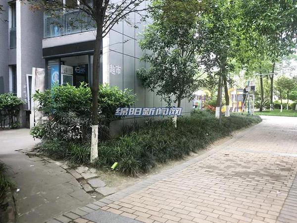 新時代變遷與機遇下的進出肖探索