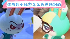 動(dòng)森最新杰克，小巷深處的獨(dú)特風(fēng)情探索