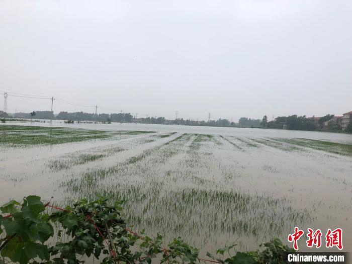 湖北黃梅遭遇洪水危機，眾志成城，共抗水災(zāi)