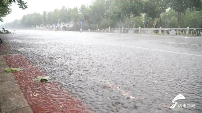日照大暴雨背后的知識賽跑，最新動態(tài)與深度解析