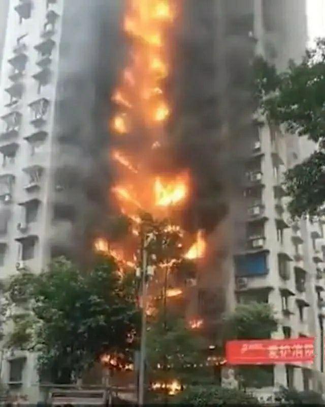 案例展示 第333頁