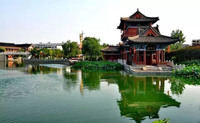 河南回杭州最新動態(tài)與趨勢分析簡報