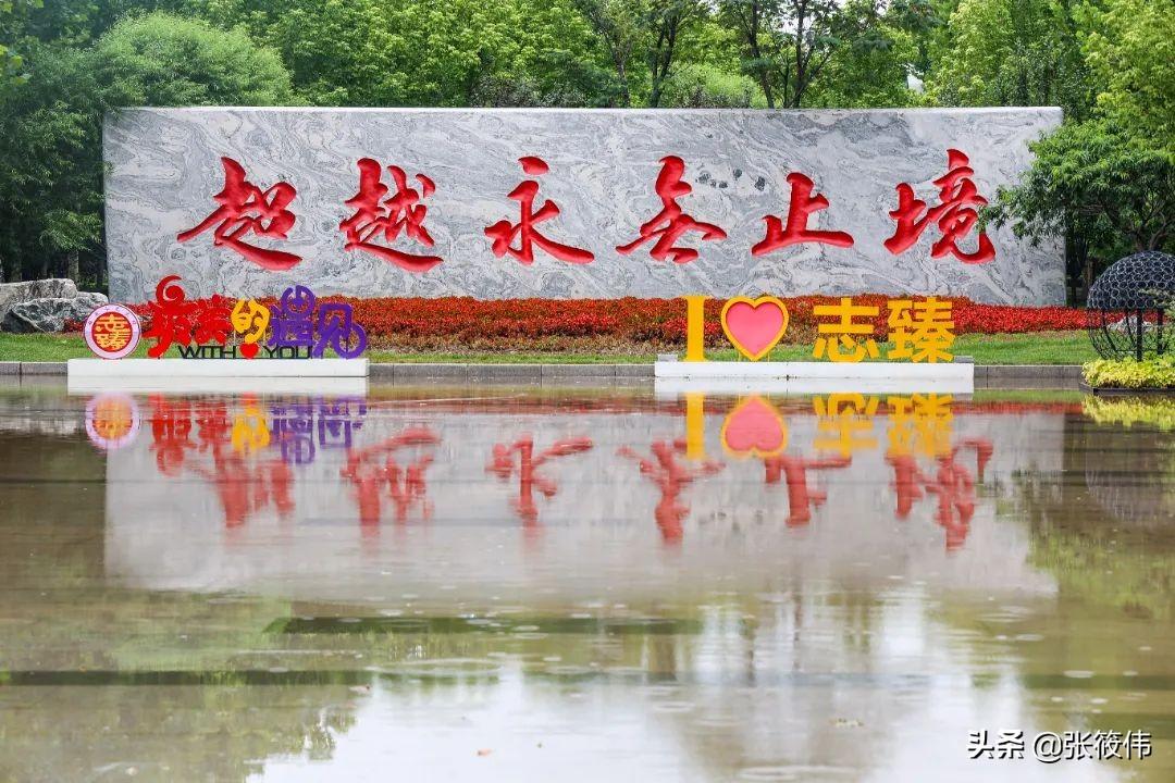 迅雷鋪最新電影，變化中的學(xué)習(xí)之旅與自信成就的力量