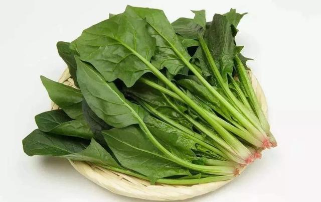 菠菜最新價格全面指南，最新行情解析與購買指南