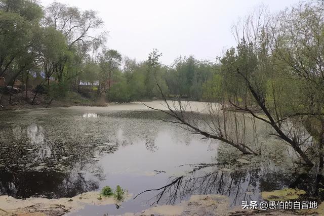 鄉(xiāng)間小徐最新動態(tài)，學(xué)習(xí)之光照亮鄉(xiāng)村之路的未來