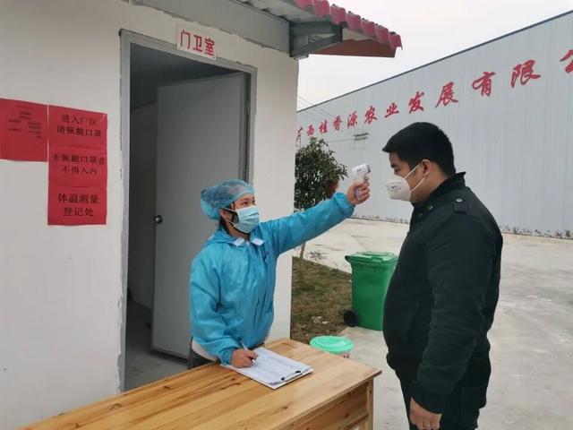 最新來賓疫情下的隱秘小巷魅力探索