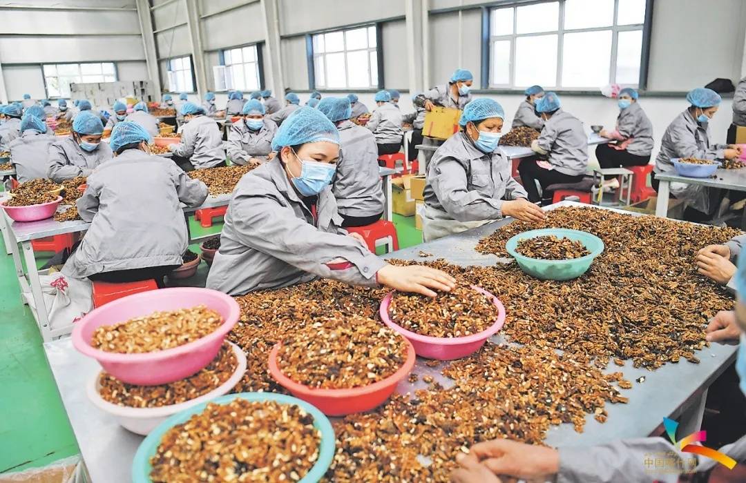 最新摘帽公司,最新摘帽公司，變化、學(xué)習(xí)與自信的力量