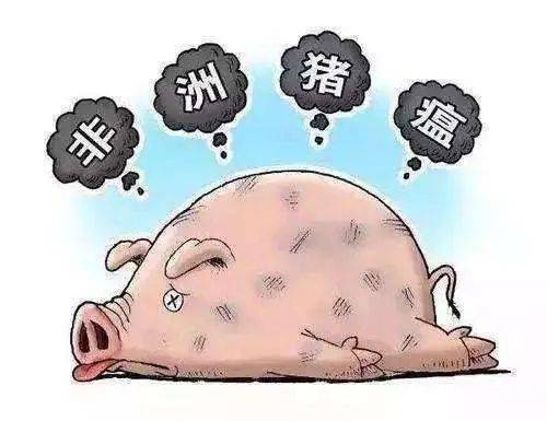 潛伏期最新動(dòng)態(tài)，學(xué)習(xí)變化中的自信與成就感的力量