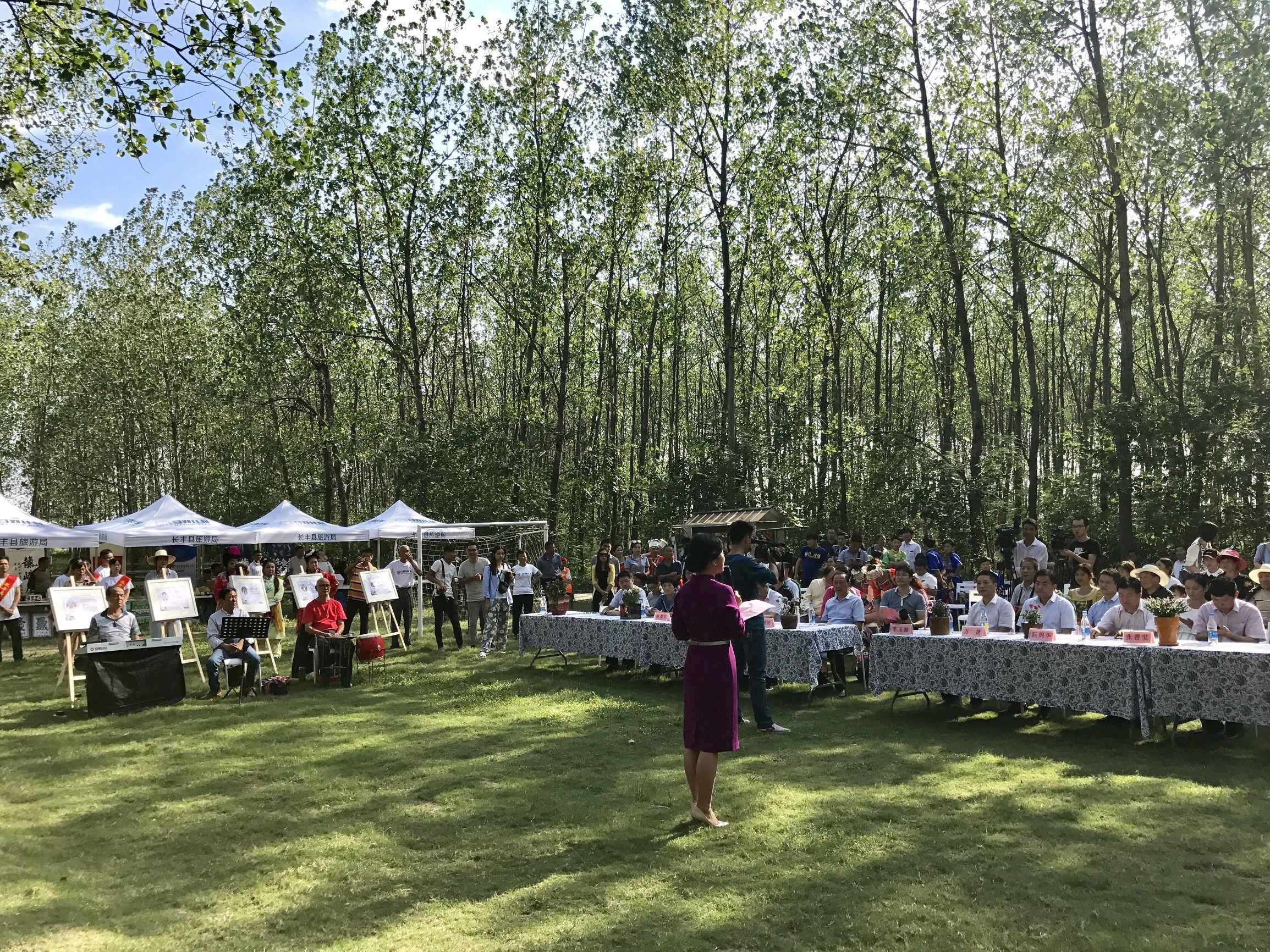 長豐最新資訊深度解析與觀點闡述