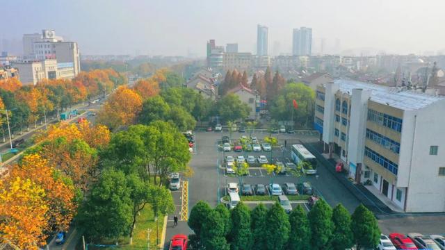 城發(fā)環(huán)境最新，與自然美景的親密之旅，探尋內(nèi)心平和寧靜的旅程