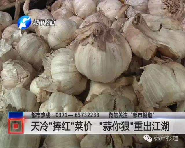 今年大蒜行情,今年大蒜行情的全方位解析與應(yīng)對策略指南