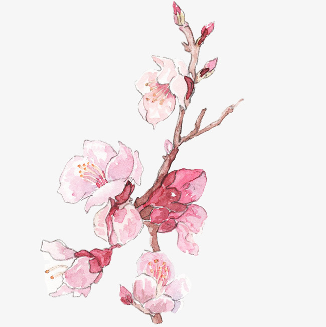 桃花動(dòng)漫圖制作指南，步驟詳解