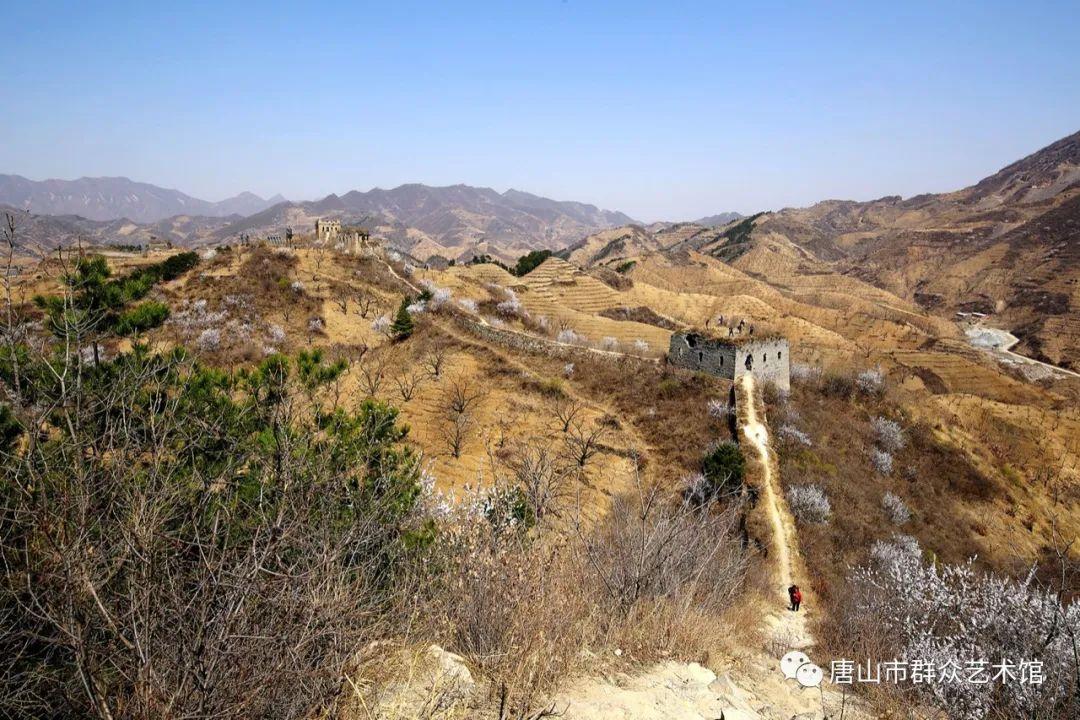 王愛軍書法價(jià)格,王愛軍書法價(jià)格，探索隱藏在小巷中的藝術(shù)寶藏