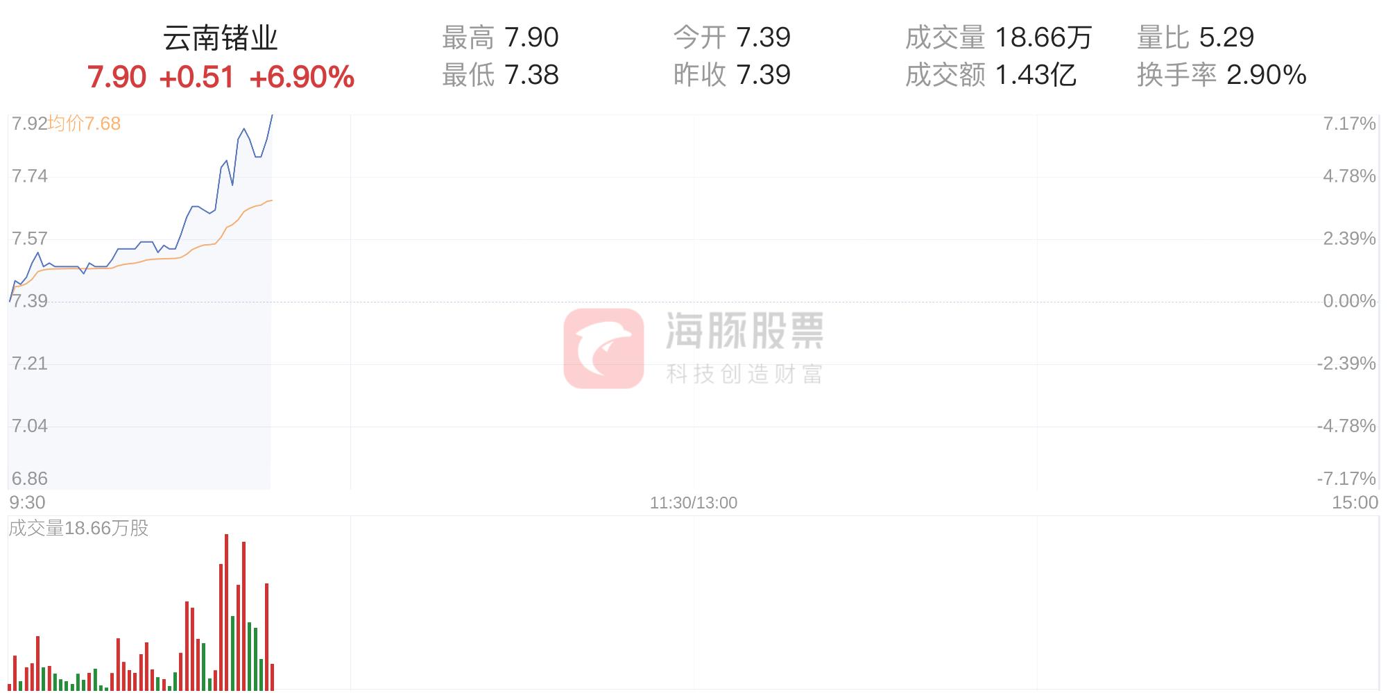 云南鍺業(yè)最新動態(tài)揭秘，小巷中的隱藏瑰寶