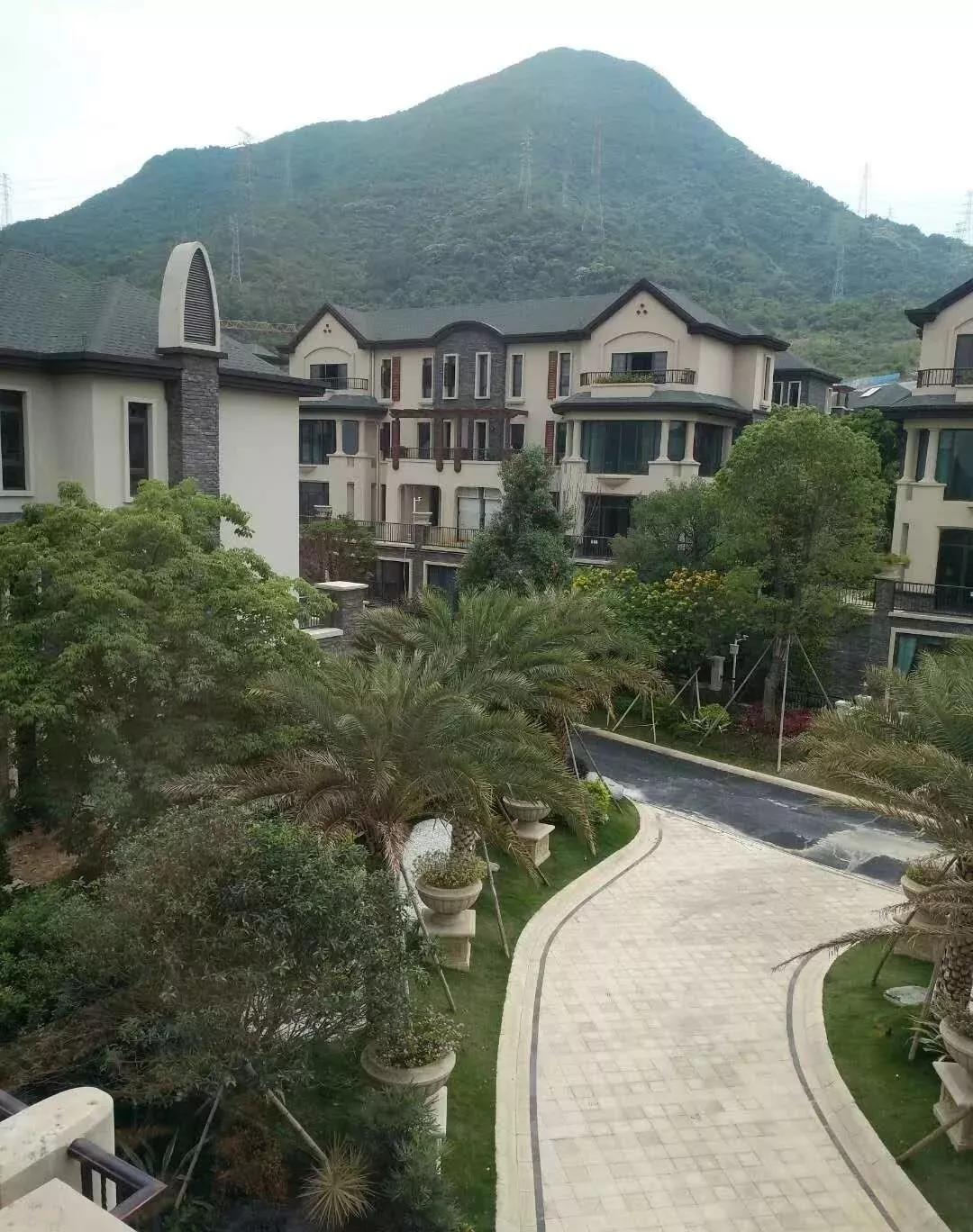 色中色11月最新地址,關(guān)于色中色11月最新地址的探討與觀點論述