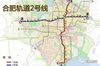 新聞資訊