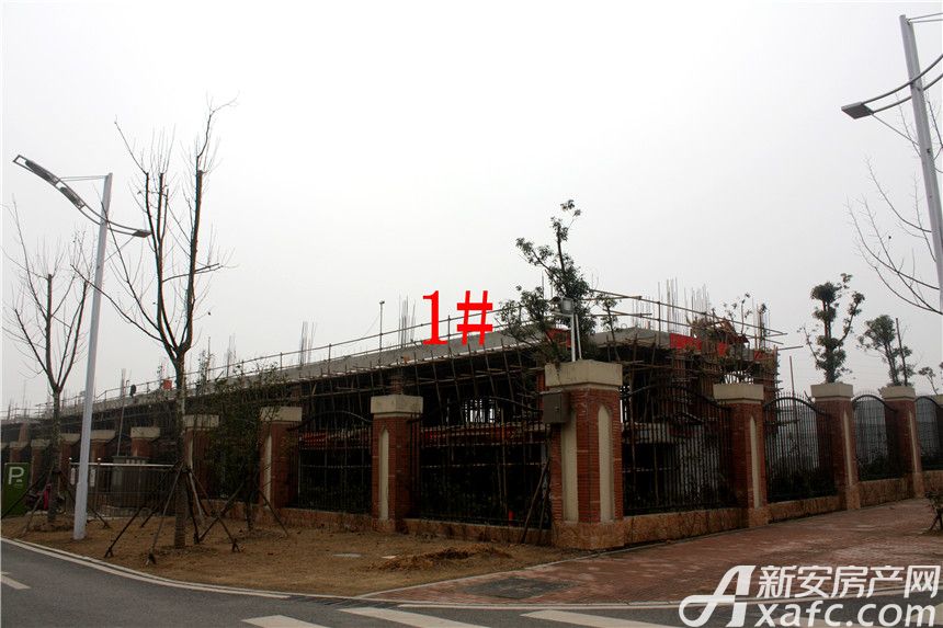 文一學府里最新動態(tài)，友情的溫暖與家的陪伴