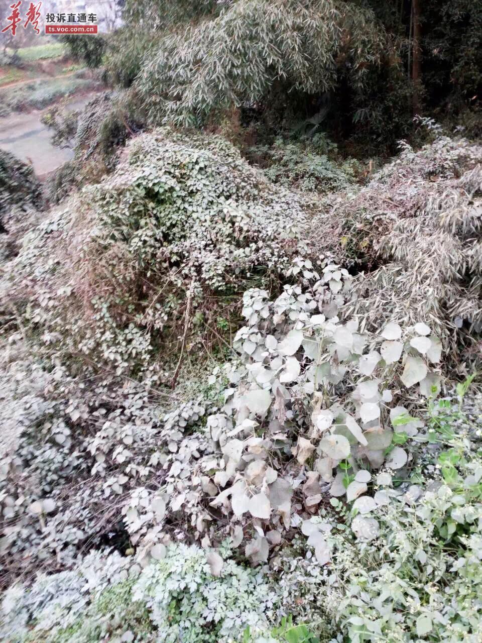 重龍山水泥最新價格，小巷中的驚喜發(fā)現(xiàn)