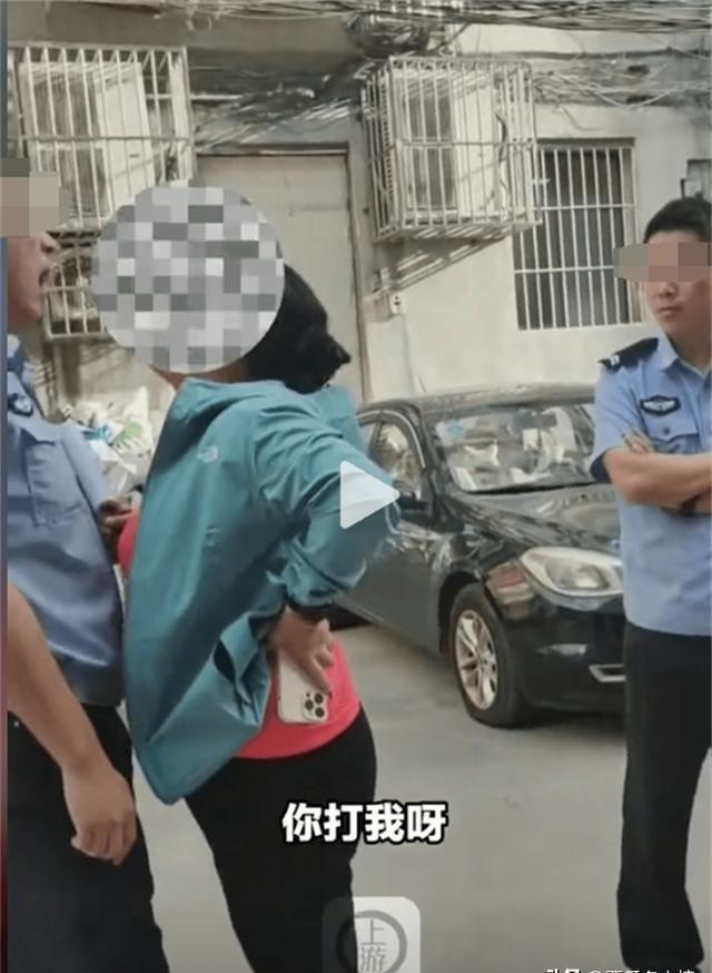法律最新保護(hù)孕婦權(quán)益，愛的溫馨日常故事開啟篇章