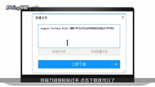 最新小學生磁力鏈接，任務(wù)完成與技能學習步驟指南