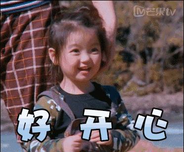 董力最新動(dòng)態(tài)揭秘，小巷深處的獨(dú)特風(fēng)味之旅