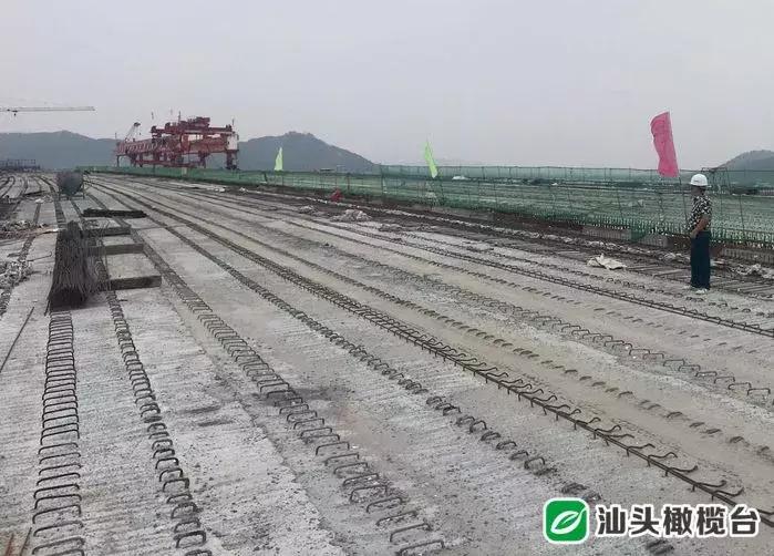 汕頭蘇埃隧道最新動態(tài)揭秘，隧道的奇遇與友情的綻放歷程