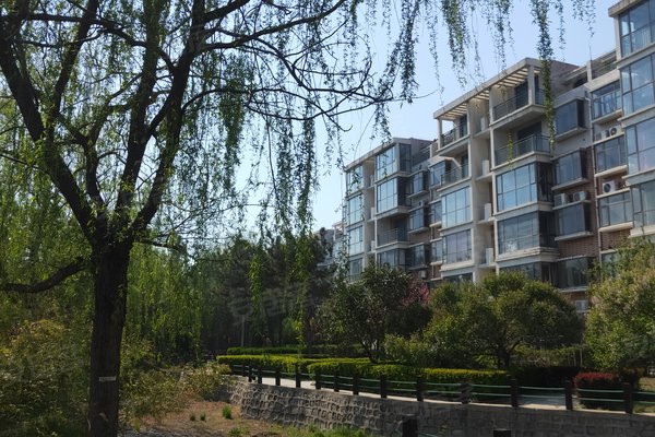 龍口碧海苑最新房價(jià)，探索自然美景，尋找內(nèi)心平靜的旅程
