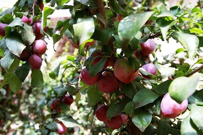 盂縣最新房屋出售信息匯總