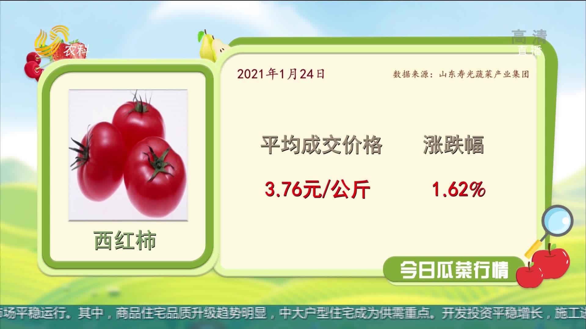 禹城市西紅柿最新報(bào)價(jià),禹城市西紅柿的故事，價(jià)格背后的溫情