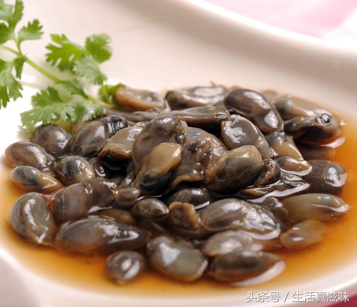 寧波史翠英最新動(dòng)態(tài)，學(xué)習(xí)之光照亮未來之路