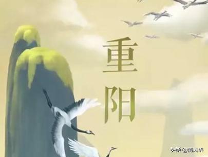 最新搞笑朋友圈說說引爆歡樂浪潮！