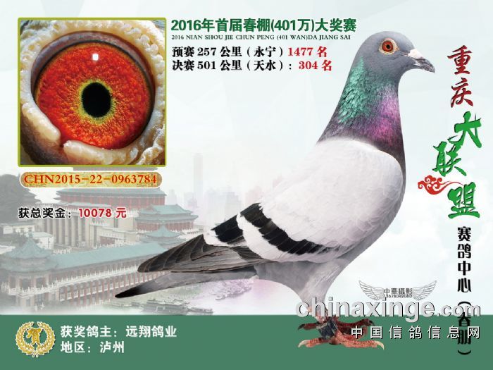 大聯(lián)盟春棚最新公告，啟程探索自然之美，尋覓內(nèi)心寧靜之旅