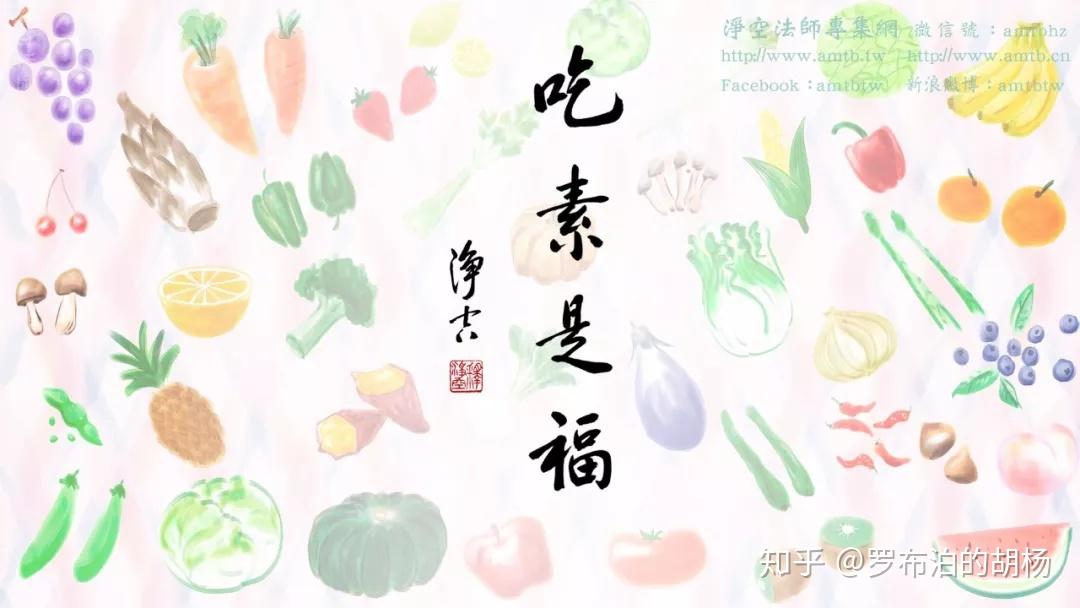吃素是福，最新動畫視頻展現(xiàn)素食之美，領(lǐng)略素食文化魅力