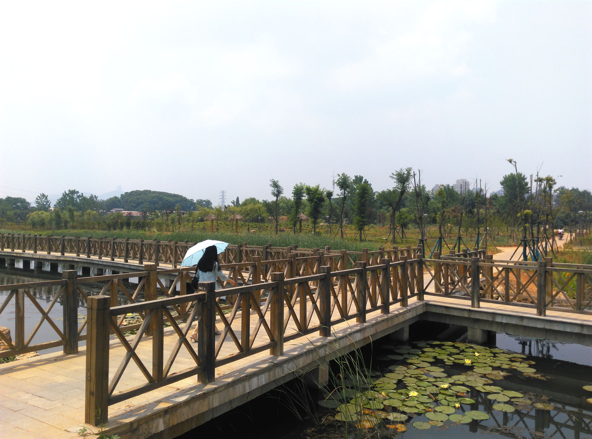 黃石濕地公園最新建設(shè)進(jìn)展，綠色變革中的自信與顯著成就