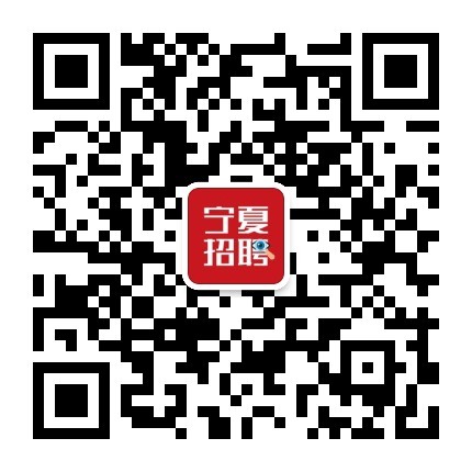 寧夏最新招聘信息揭秘，探尋小巷深處的寶藏職位