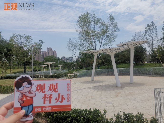 青少年公園最新動態(tài)更新