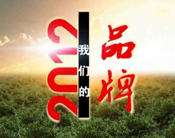 洋河酒廠最新招聘現(xiàn)象解析，機(jī)遇與挑戰(zhàn)并存，招聘熱潮背后的挑戰(zhàn)與機(jī)遇探索