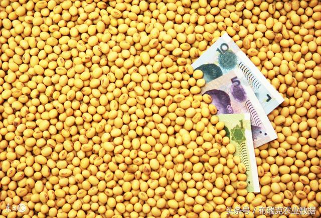 國內(nèi)大豆最新價(jià)格行情概覽與分析