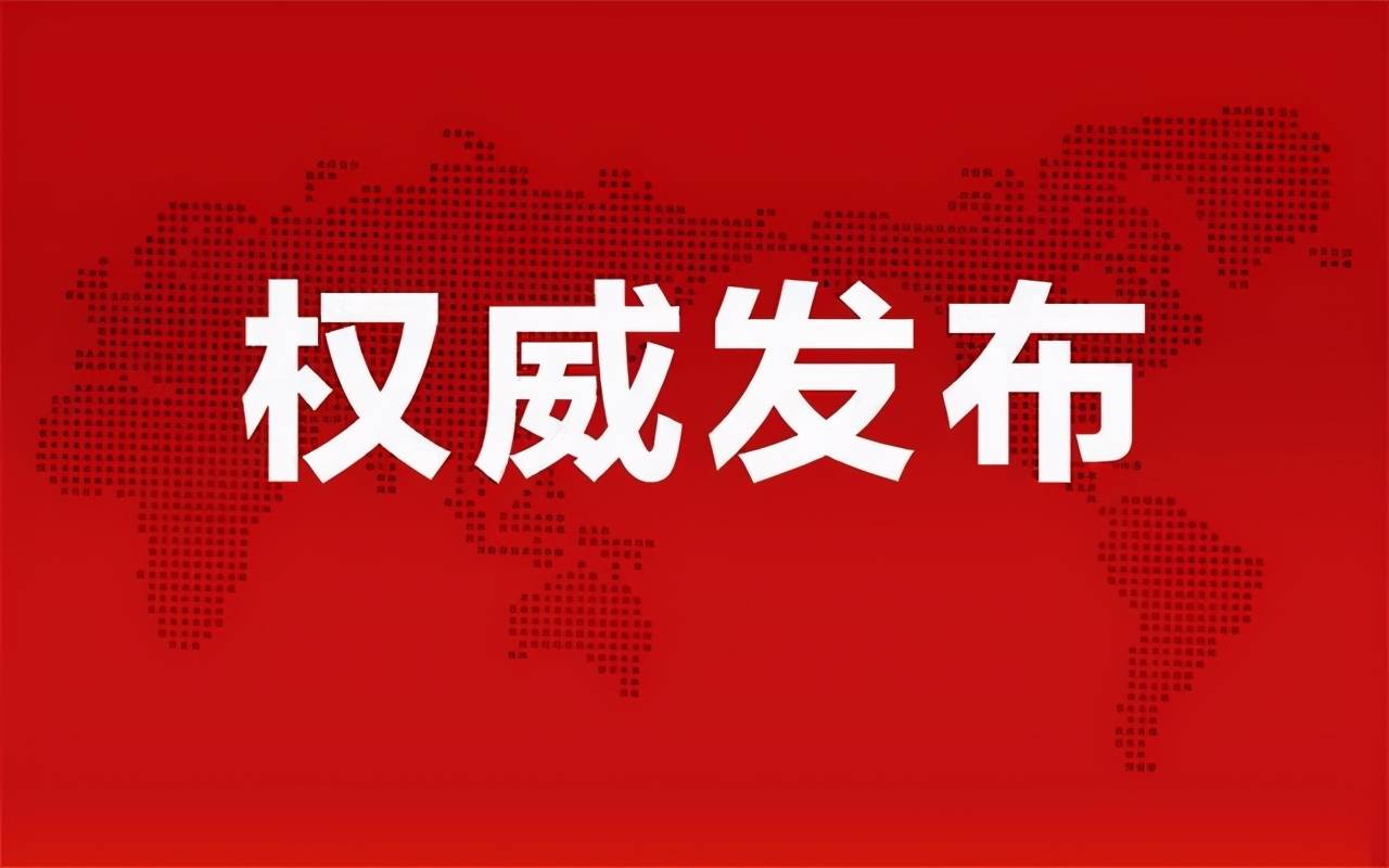 廣州最新煮飯招聘信息揭秘，探尋小巷美食秘境的廚師之旅